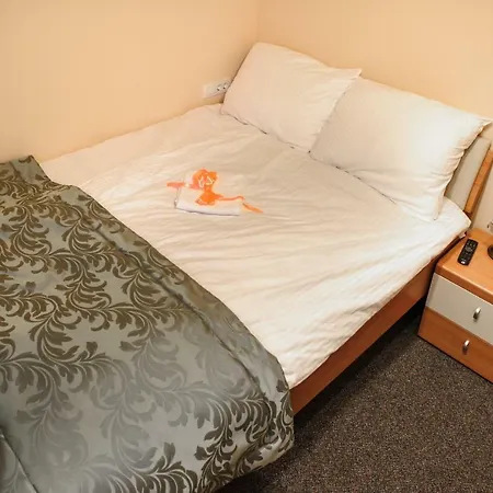Vila Demetrovic Hotel Slovenska Bistrica