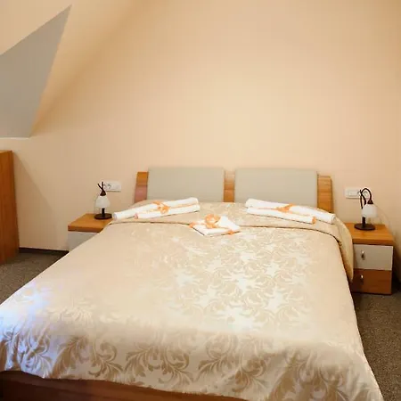 Vila Demetrovic 3* Beszterce