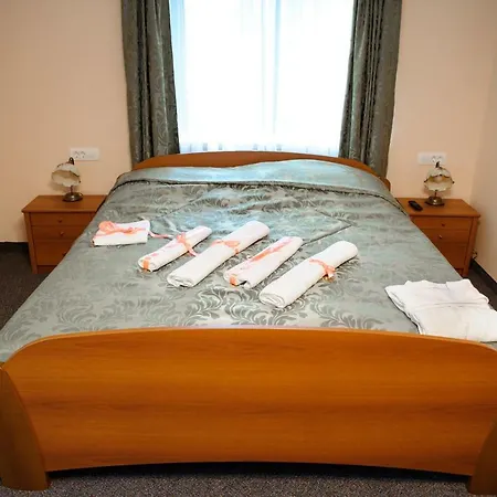 Hotel Vila Demetrovic 3*