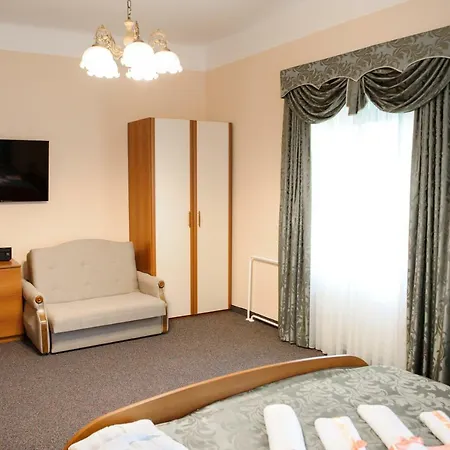 Szálloda Vila Demetrovic 3*